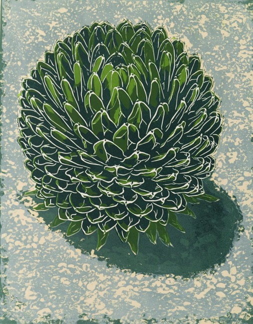 A print by Mary Andrews titled 'Victoriae Reginae II'