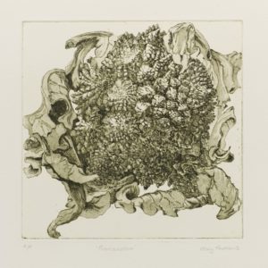 A print by Mary Andrews titled 'Romanesco'