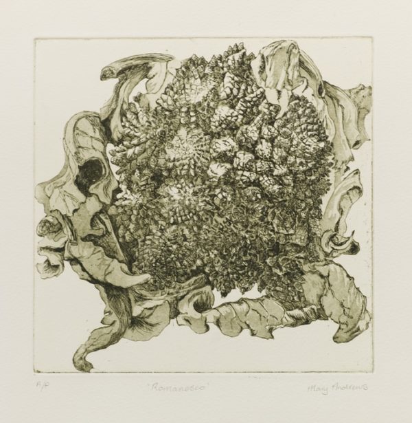 A print by Mary Andrews titled 'Romanesco'