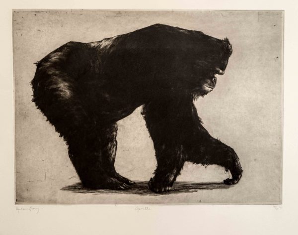 Gorilla I a Etching by the Artist Helen Fay