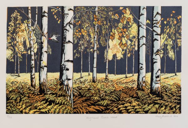 Highland Birchwood a Linocut by the Artist Mary Andrews