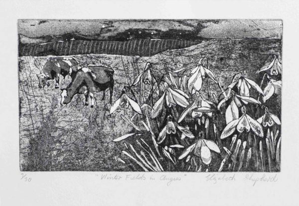 Winter Fields in Angus a Etching by the Artist Elizabeth Shepherd