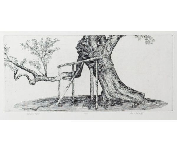An etching by Ian Westacott titled 'Skibo Pear'