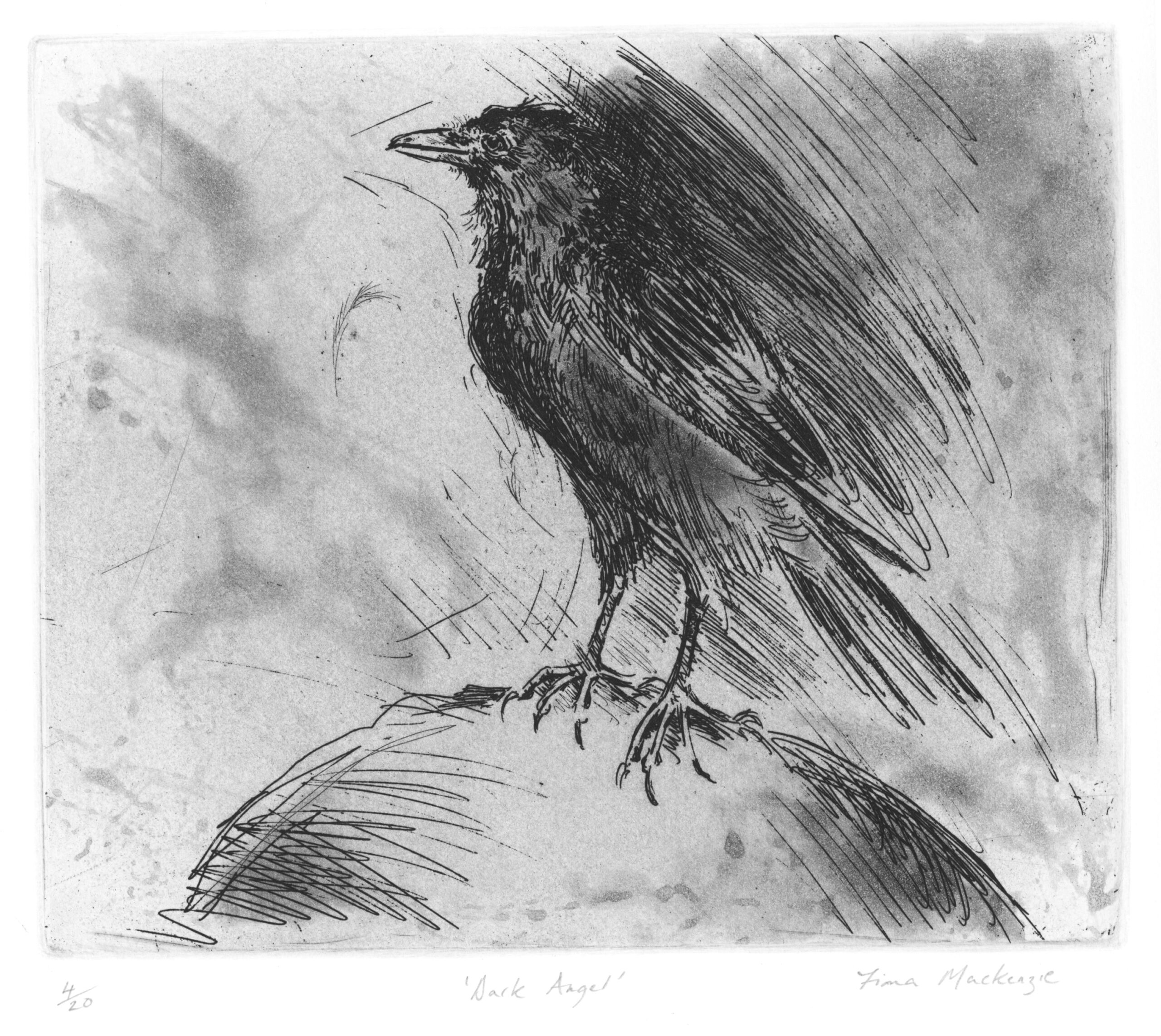 dark-angel-highland-print-studio