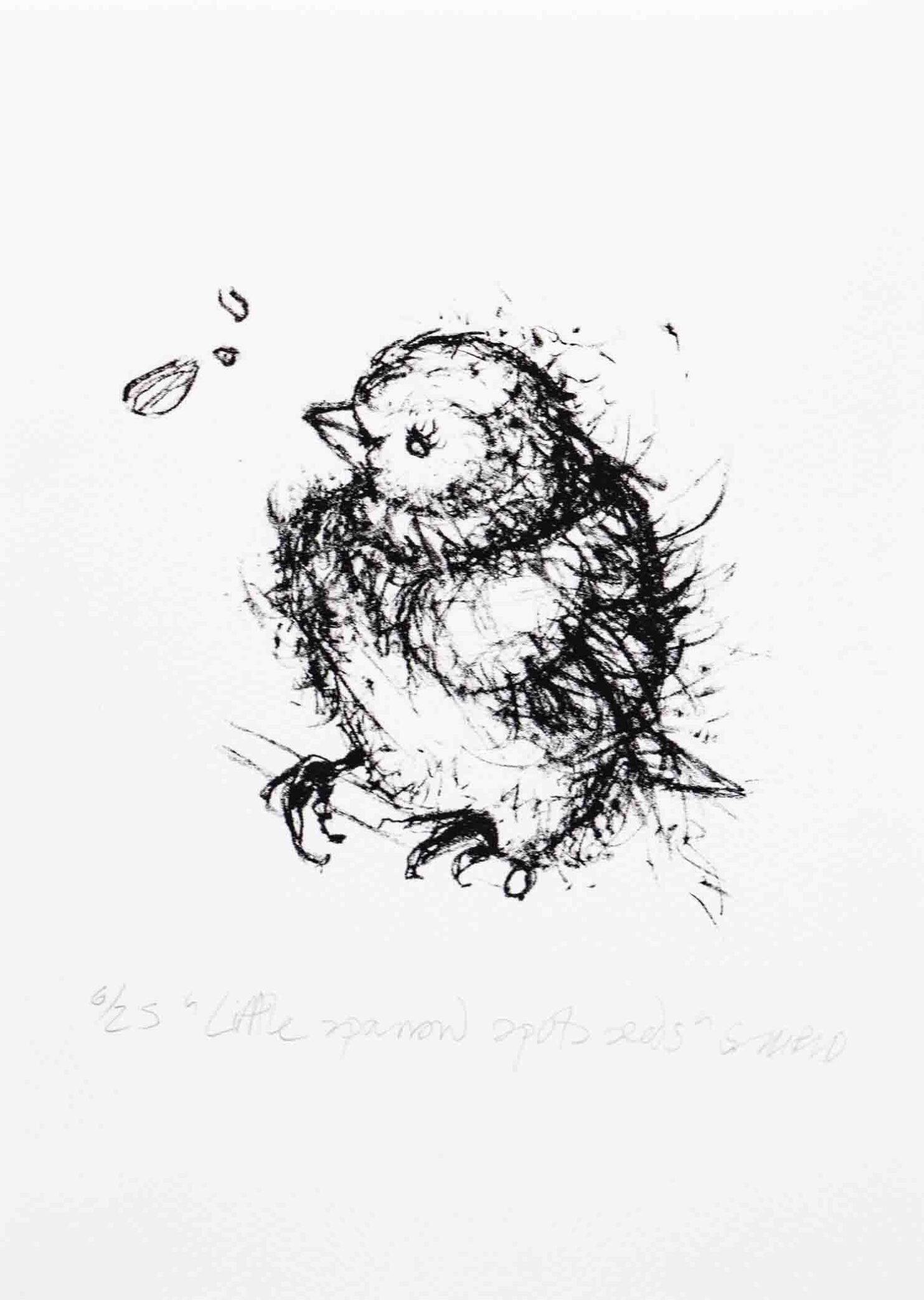 Little Sparrow Spots Seeds Highland Print Studio little-sparrow-spots-seeds-highland-print-studio